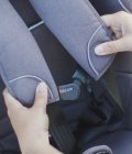 Ασφάλεια για τους ιμάντες Belt Guard (μόνο για καθίσματα Besafe) - Image 3